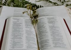 free bible reading tracker pdf