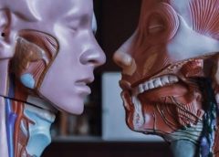 study guide for biology midterm